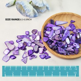 EDSRDUS Natural Crushed Shells Chips Irregular Mother of Pearl Seashell Fragments Sea Shell Pieces for DIY Crafts, Vase Filler, Decorating, Home Décor