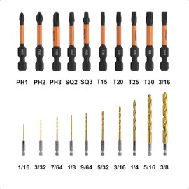 20PC Drill and Driver Bit Set - Railer High Speed Titanium Hex Shank Drill Bit with Phillips, Square, Slotted & TORX Impact Driver Bit Set.