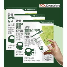 Ginkgo Leaf Extract Benefits Ginkgo Memory 6 Months / 은행잎추출물 효능 징코 기억력 6개월