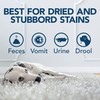Simple Solution Oxy Charged Pet Stain and Odor Remover, Eliminates