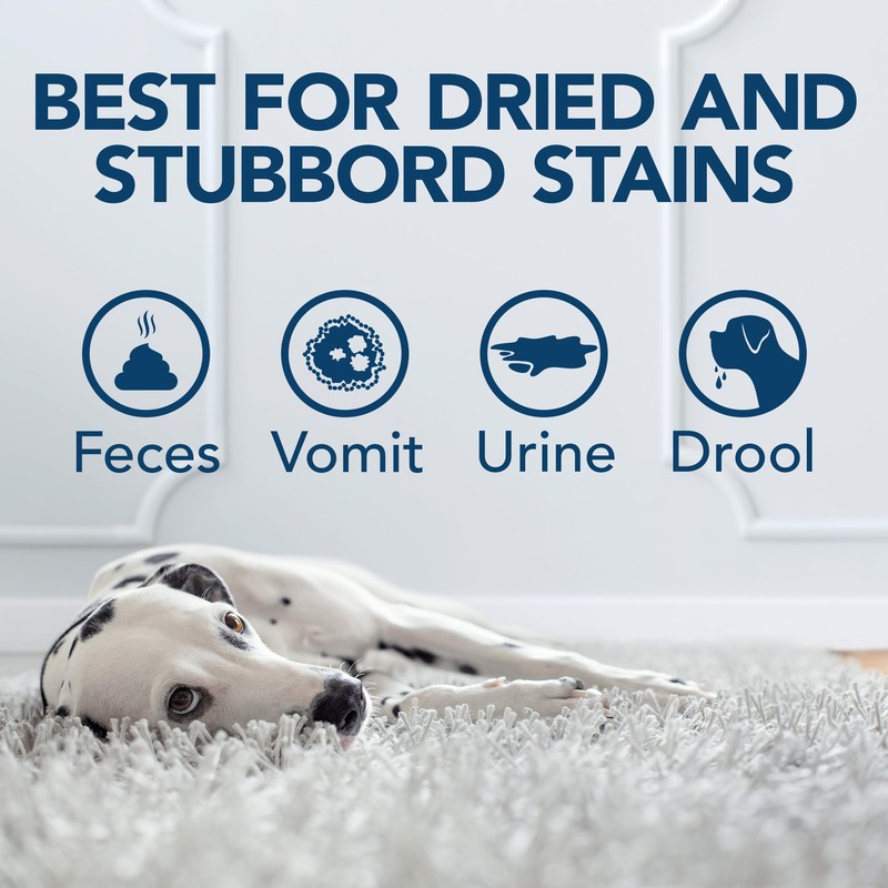 Simple Solution Oxy Charged Pet Stain and Odor Remover, Eliminates