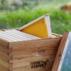 Honey Keeper 10 Assembled Beehive Frames with Waxed Natural Foundations