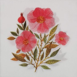 Colored Paper Napkins, 20 Count Shabby Chic Napkins for Wedding, Dinner Tea Party Shower Cocktail Napkins (Hibiscus flowers)