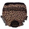 CROCI Hygienic Knickers Doggy Pants, 30/35 cm, Medium, Black