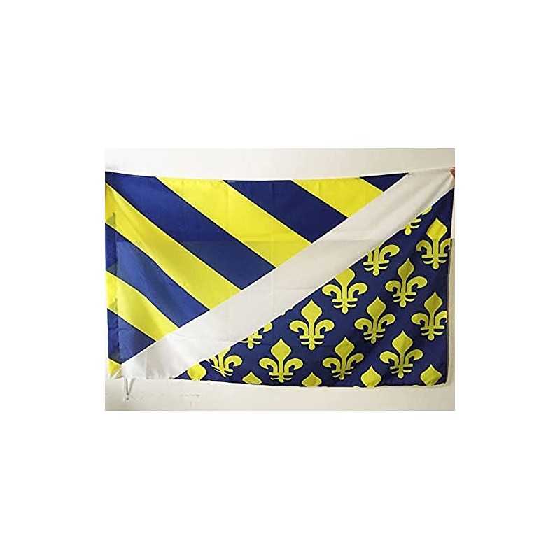 AZ FLAG Oise Flag 3' x 5' for a pole
