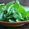 Outsidepride New Zealand Spinach - 200 Seeds