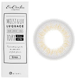 【新色】エバーカラーワンデー・ルクアージュ 10枚(ミスティアッシュ)(度数：-6.00)