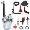 Anxingo 591378 Carburetor Kit Replacement for bs Nikki 695115 030430