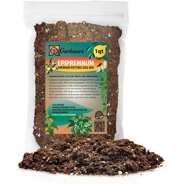 Elevate Your Epipremnum with Gardenera's Organic Soil Blend - Cultivate Healthier and More Stunning Foliage - 1 Quart