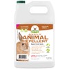Animal Repellent - Bobbex | Ready-to-Use Outdoor Rabbit, Squirrel, and