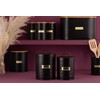 Typhoon Otto Black Tea Storage, Matte Black and Gold, 1.4