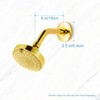 OFFO Shower Arm with Flange, 6 in Bright Gold Wall