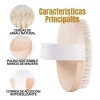 Cepillo Corporal Barato Natural Bristle Para Exfoliar Zz /.
