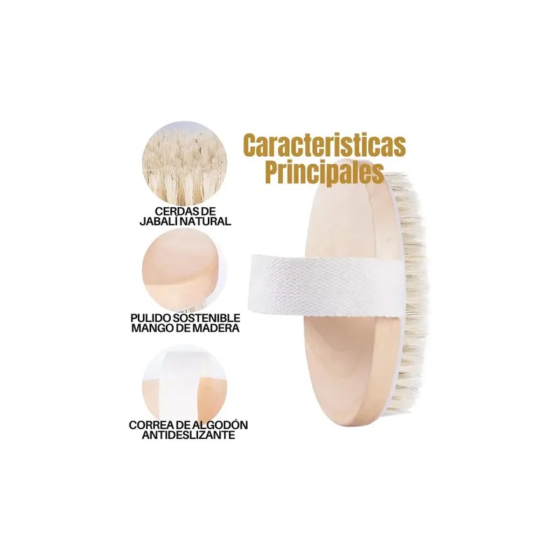Cepillo Corporal Barato Natural Bristle Para Exfoliar Zz /.