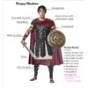 California Costumes Roman Gladiator Costume Small Multi