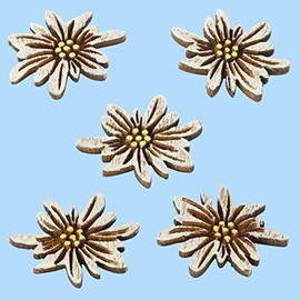Tafeldeko.de Pack of 10 Edelweiss Wooden Table Decoration