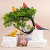 AUEAR, 4 Pack Bird Decorative Figurines Mini Fake Parrot Ornaments