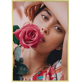 Frametory, Modern Metallic Picture Frame Collection Wall Display, Acrylic Glass Front Aluminum Great for Portraits, Family Photos, Engagements, and Weddings (Gold, 13x19)