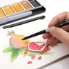 Dainayw Round Watercolor Paint Brushes 4Pcs Squirrel Hair Professional Brush