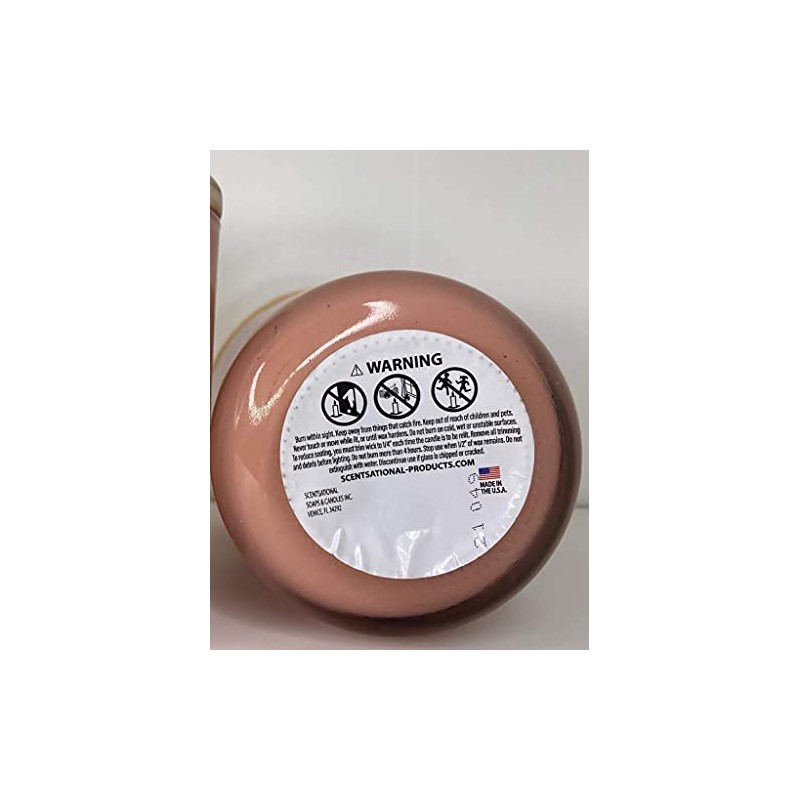 Scentsational Guava Natural Soy Blend Candle 110z | Hand Poured