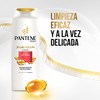 Pantene Pro-V Rizos Definidos Shampoo 700ml