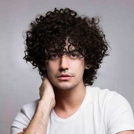 Salaibs Brown Curly Afro Wig for Men Short Fluffy Rocker Wigs Cosplay Costume Daily Hair Synthetic Heat Resistant Mens Wigs