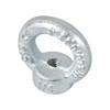Zadery 1/4"-20 Lifting Eye Nuts, Drop Forged C15 Galvanized Threaded
