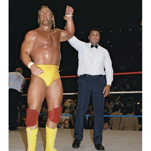 Unbranded Hulk Hogan Photo 11x14 Wrestling Print WCW NWO WWF
