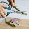 Goodful All Purpose Kitchen Shears, Heavy Duty Stainless Steel Scissors,