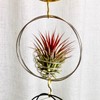 SCSFCVIUS Air Plant Hanging Holder Planter - Plant Hanger Display