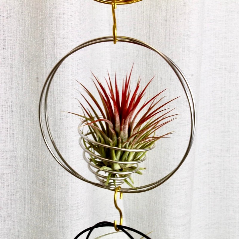 SCSFCVIUS Air Plant Hanging Holder Planter - Plant Hanger Display