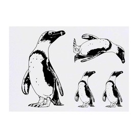 4 x 'African Penguin' Temporary Tattoos - Water Resistant, Skin-Safe, Non-Toxic Transfers, Mixed Sizes (TO00044257)