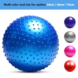 Anti-burst Yoga Ball Thickened Stability Balance Ball Pilates Physical Fitness Exercise Ball 55CM / 65CM / 75CM Gift Air Pump