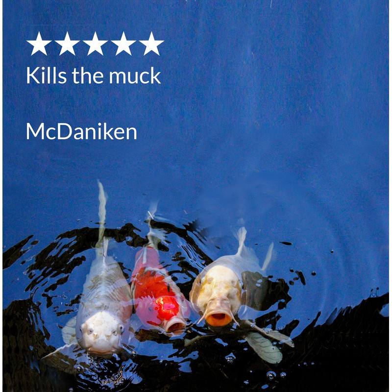 API POND ECOFIX SLUDGE DESTROYER Pond Cleaner And Sludge Remover