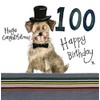 ALEX CLARK Happy 100th Birthday Dog Card