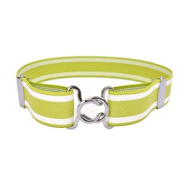 KASAJIMA Women's Daruma Belt, Skirt, Belt, Rubber, Made in Japan, Easy Adjustment, School Students, Side Line, For School, green