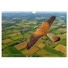 Über dem Vogelflug (Wandkalender 2026 DIN A4 quer), CALVENDO Monatskalender