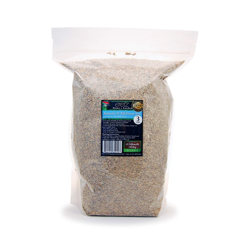 Kentucky 31 K31 Tall Fescue Grass Seed by Eretz -