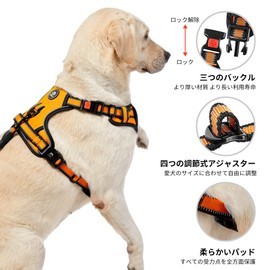 NESTROAD 犬 ハーネス 犬用胴輪 調節可能 夜間反射 小型犬/中型犬/大型犬 通気性 メッシュ 歩行補助 散歩 しつけ用 軽量 安全 おしゃれ 引っ張り防止 ドッグ 訓練 柴犬 秋田犬 セット(オレンジ,M)