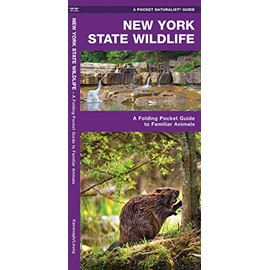New York State Wildlife: A Folding Pocket Guide to Familiar Animals (Wildlife and Nature Identification)