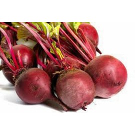 home grown Detroit Dark Red Beet HEIRLOOM 50+ seeds PREMIUM strain 100% Organic Grown USA