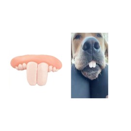 White Fake Teeth Fake Teeth for Dogs,Dog Toys,Funny Dog Braces,Christmas Costume Suitable Dogs Chew Toys Pet Supplies