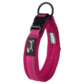 Kaka Mall Adjustable, Breathable, Reflective Nylon Dog Collar