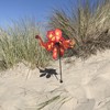 In the Breeze 2689 12 Inch Dragon Wind Colorful Spinner