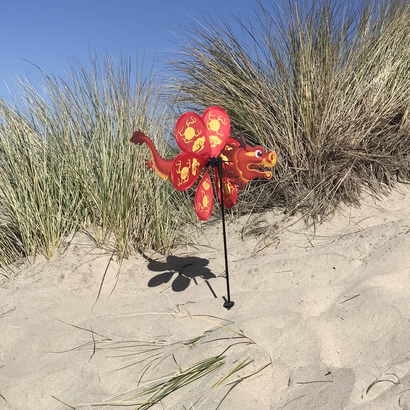 In the Breeze 2689 12 Inch Dragon Wind Colorful Spinner