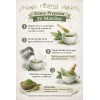 Té verde matcha en polvo 100 g 100 puro y