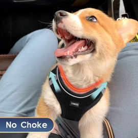 YIMEIS Dog Harness and Leash Set, No Pull Soft Mesh Pet Harness, Reflective Adjustable Puppy Vest for Small Dogs, Cats (S, Black)