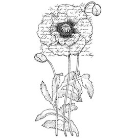 Penny Black 459897 Poppy Poem Mounted Rubber Stamp, 2.25 by 4-Inch