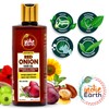 The Indie Earth The Indie Earth Advanced Red Onion Oil