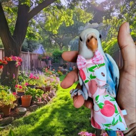 Magnoloran 5 Pcs Bird Diapers Bird Harness Flight Suits Diapers Reusable Parrot Nappy with Waterproof Inner Layer Washable Cute Urine Wet Suit for Cockatiel Budgie Conure Macaw Parakeet Lovebird,L